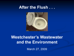 After the Flush - Westchester County