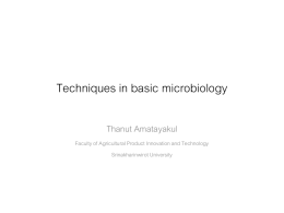 Techniques in basic microbiology