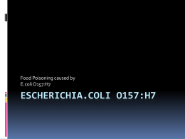 Escherichia.coli O157:H7