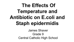 The Effects Of Temperature and Antibiotic on E.coli and Staph
