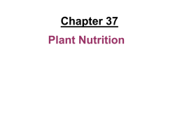 Plants require certain chemical elements to complete their life cycle