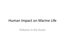 1.1-MB-HUMANIMPACT-Pollutionintheoceanx