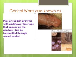Genital Warts also known