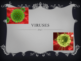 Viruses - mrkeay