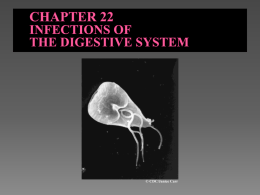 CHAPTER 22 * INFECTIONS OF THE DIGESTIVE SYSTEM