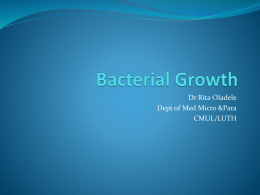 bacterial growth