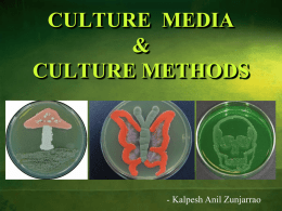 culturalmediamethods-131228081632-phpapp01