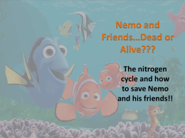 Nemo and Friends*Dead or Alive???