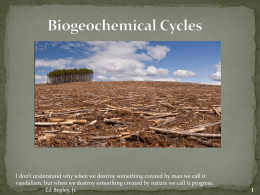 Biogeochemical/Nutrient Cycles Slideshow