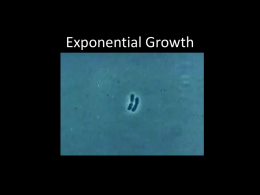 Bacterial Growth Activityx