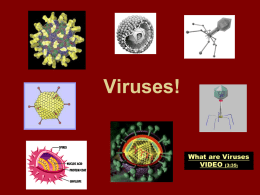 Viruses! - nimitz163