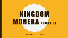 February 29 Kingdom Monera (cont`d)