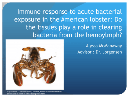 Immune response to acute bacterial exposure in