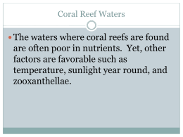 Coral Reef Waters