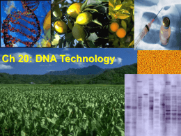 Genetic Engineering_AP Bio