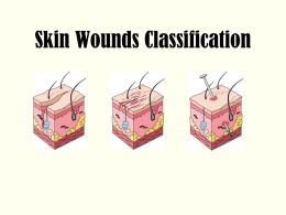 Skin Wounds Classifications-