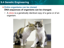9.4 Genetic Engineering