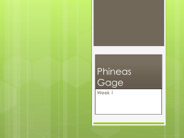 Phineas Gage - Moore Public Schools