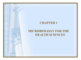 Chapter 5 Diversity of Microorganisms Eucaryotic Microbes