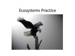 Ecosystems Practice