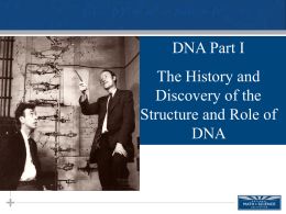 History of DNA File