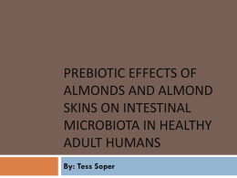 Prebiotic effects of almonds and almond skins on intestinal