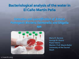 Bacteriological analysis of the water in the Caño