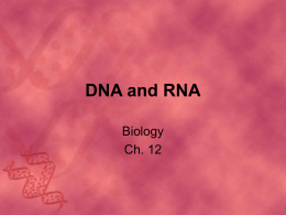 Ch. 12 DNA and RNA