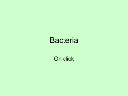 Bacteria - Liberty Hill Junior High