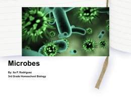 Microbes - WordPress.com