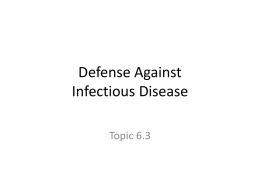 Topic 6.3 Defensex