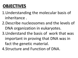 Chapter 16 - History of DNA