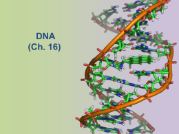 7.1 DNA Introduction