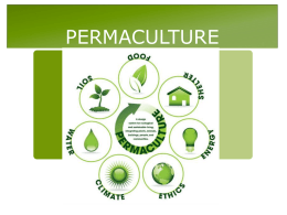 Permaculture - Ms Kim`s Biology Class