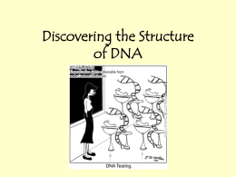 dna history notes