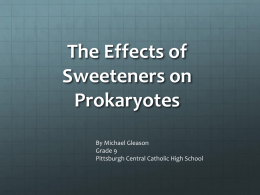 The Effects of Sweeteners on Prokaryotes