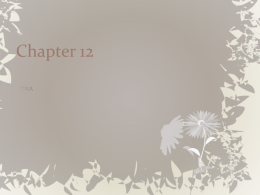 Chapter 12