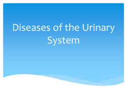 Urinary Disease Notes