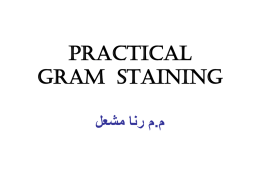 The Gram Stain Procedure Step 1