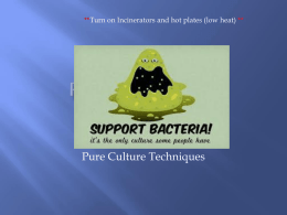 Pure Culture - IRSC Biology Department