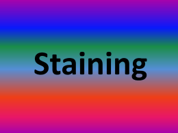 Gram staining