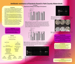 Antibiotic resistance of bacteria found in York County Watersheds