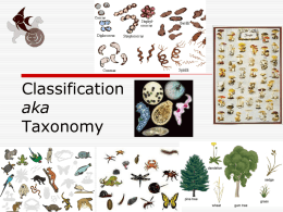 Classification aka Taxonomy