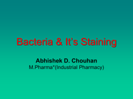 bacteria-abhi-d-c