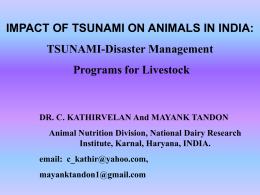 IMPACT OF TSUNAMI ON ANIMALS IN INDIA