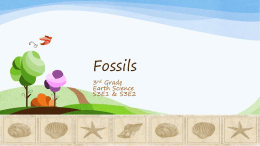 Fossil ppt slides 1-11