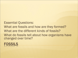 Fossils - Montgomery County Schools
