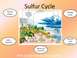 Sulfur Cycle Britt and Olivia Oct 09