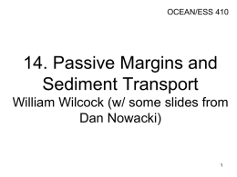 Passive Margins and Sediment Transport