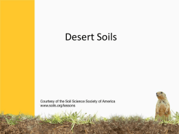Desert Soils - Home | Soil Science Society of America